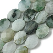 Natural Myanmar Jadeite Beads Strands, Faceted, Flat Oval, 16~16.5x12x5.5~6mm, Hole: 1mm, about 25pcs/strand, 16.14''(41cm)(G-A092-E01-03)