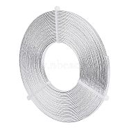 Aluminum Wire, Flat, Textured, Silver, 5x1mm, 10m/roll(AW-NB0001-02)