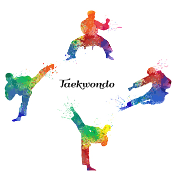 PVC Wall Stickers, Wall Decoration, Taekwondo Pattern, 390x900mm, 2pcs/set