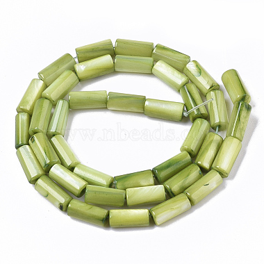 Natural Freshwater Shell Beads(X-SHEL-R047-01F)-2