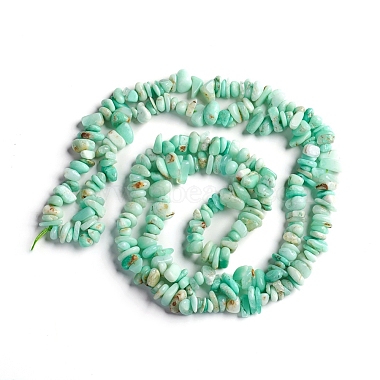 Natural Australia Jade Chips Beads Strands(G-D0002-A11)-2