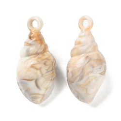 Opaque Acrylic Pendants, Imitation Gemstone, Spiral Shell Shape, Tan, 43.5x21x19mm, Hole: 2mm, about 82pc/500g(OACR-U004-06E)