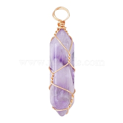Natural Amethyst Pendants, with Golden Steel Wire, Hexagon Prism, 43x11x11mm, Hole: 5mm(G-CJ0001-43)