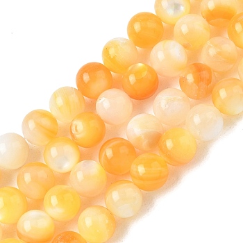 Natural Yellow Shell Beads Strands, Smooth Round, Gold, 7mm, Hole: 0.8mm, about 55pcs/strand, 14.96 inch(38cm)