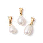 Natural Cultured Freshwater Pearl Rice Charms, with Brass & 304 Stainless Steel Findings, White, Golden, 12~13.5x7~7.5mm, Hole: 5.5x3.5mm(PALLOY-JF04823)