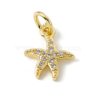 Brass Micro Pave Cubic Zirconia Charms, with Jump Ring, Starfish Charm, Real 18K Gold Plated, 12x10x2mm, Hole: 3mm(ZIRC-F132-25G)