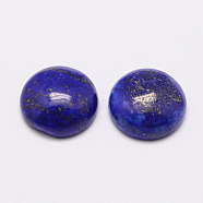 Dyed Half Round/Dome Lapis Lazuli Cabochons, 16x6mm(X-G-K019-16mm-01)