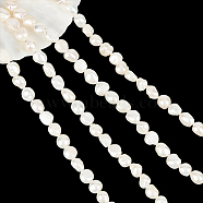 2 Strands Natural Cultured Freshwater Keshi Pearl Beads Strands, Baroque Pearls, Two Sides Polished, Seashell Color, 8~14x7~9x4~7mm, Hole: 0.8mm, about 34pcs/strand, 14.5 inch(PEAR-NB0002-22)
