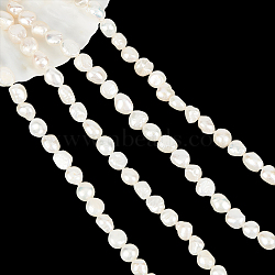 2 Strands Natural Cultured Freshwater Keshi Pearl Beads Strands, Baroque Pearls, Two Sides Polished, Seashell Color, 8~14x7~9x4~7mm, Hole: 0.8mm, about 34pcs/strand, 14.5 inch(PEAR-NB0002-22)