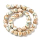 Natural Seashell Shell Beads Strands(SH-CBAFEDD-01B)-4