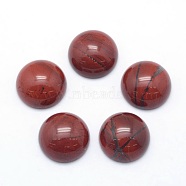 Natural Red Jasper Cabochons, Half Round, 12x5~6mm(G-P393-R44-12MM)