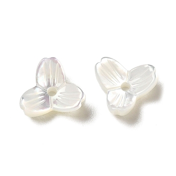 Natural White Shell Beads, Flower, WhiteSmoke, 8x8.5x3mm, Hole: 1.4mm