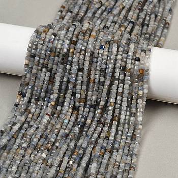 Natural Kyanite Beads Strands, Cube, Faceted, 3.5x3.5x3.5mm, Hole: 0.7mm, about 127~129pcs/strand, 14.96~15.04''(38~38.2cm)