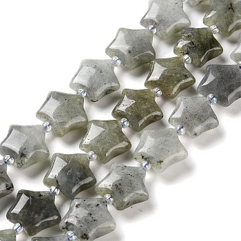 Natural Labradorite Beads Strands, with Seed Beads, Puffed Star, 14~15.5x15~16x6.5~7mm, Hole: 1mm, about 24~25pcs/strand, 15.55''~15.95''(39.5~40.5cm)