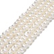 Natural Cultured Freshwater Pearl Beads Strands(PEAR-F018-16B-01)-1