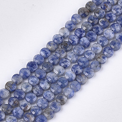 Natural Blue Spot Jasper Beads Strands, Faceted, Flat Round, 6~6.5x3.5mm, Hole: 0.8mm, about 59~60pcs/strand, 14.9 inch~15.1 inch(G-S354-18)