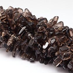 Natural Smoky Quartz Beads Strands, Chip, 11~19x4~8x4~6mm, Hole: 1mm, 15.75 inch(G-K115-06)