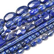 Natural Lapis Lazuli Beads Strands, Mixed Shapes, 8~18x8~12.6x6.5~25mm, Hole: 1mm, about 16~55pcs/strand, 15.75 inch(40cm)(G-R474-005)