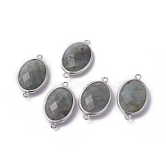 Platinum Tone Brass Natural Labradorite Links connectors, Faceted, Oval, 26.5x15x6mm, Hole: 1~2mm(X-G-F339-B12)