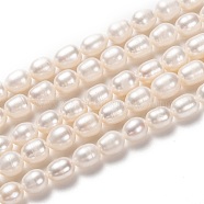 Natural Cultured Freshwater Pearl Beads Strands, Rice, Bisque, 7~10x7~8mm, Hole: 0.6mm, about 39~40pcs/strand, 14.17~14.65 inch(36~37.2cm)(PEAR-L033-78-01)