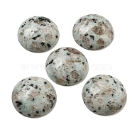 Natural Sesame Jasper Cabochons, Flat Round, 30x7~8.5mm(G-C115-02B-08)