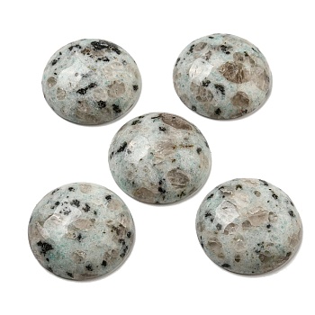 Natural Sesame Jasper Cabochons, Flat Round, 30x7~8.5mm