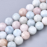 Natural Morganite Beads Strands, Faceted, Round, 7.5~8x8mm, Hole: 1mm, about 23~25pcs/strand, 7.48 inch(X-G-S345-8mm-012)