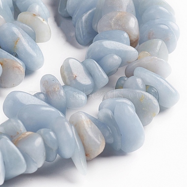 Natural Angelite Chips Beads Strands(G-D0002-A10)-3