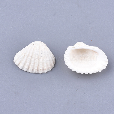 Clam Shell Pendants(SSHEL-S258-60)-3