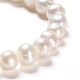 Natural Cultured Freshwater Pearl Beads Strands(PEAR-I004-09)-4