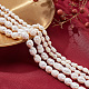 4Strands 2 Styles Natural Cultured Freshwater Pearl Beads Strands(PEAR-NB0001-64)-4