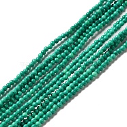 Natural Howlite Beads Strands, Dyed, Round, Green, 2mm, Hole: 0.6mm, about 198pcs/strand, 15.20 inch(38.6cm)(G-C025-15A)