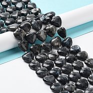 Natural Larvikite Beads Strands, with Seed Beads, Heart, 14~15x15x6~6.5mm, Hole: 1.4mm, about 23~24pcs/strand, 14.57''(37cm)(G-E614-A24-01)