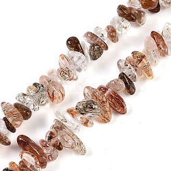 Natural Black Gold Rutilated Quartz Beads Strands, Chip, 6~12x1.5~6x4~7mm, hole: 1mm, 75~80cm(X-G-G905-20)