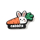 Vegetable Theme Silicone Beads(PL-T045-03B)-1