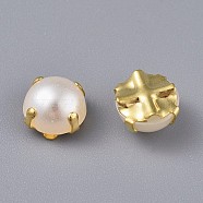 Sew on Acrylic Imitation Pearl, Montee beads, Two Holes, Garment Accessories, Half Round, Golden, 5.5x3.5mm, Hole: 1.2mm, about 1000pcs/bag(SACR-WH0002-01D-G)