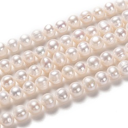Natural Cultured Freshwater Pearl Beads Strands, Potato, Bisque, 7~8x7.5~9mm, Hole: 0.6mm, about 48pcs/strand, 14.25 inch(36.2cm)(PEAR-L033-18-01)