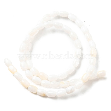 Natural Freshwater Shell Beads Strands(SHEL-R129-02)-2