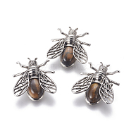 Natural Tiger Eye Brooches, with Brass Findings, Cicada, Antique Silver, 38x36x8mm, Pin: 0.6mm(G-A176-D11)