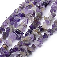 Natural Amethyst Beads Strands, Chip, 5~8mm, Hole: 1mm, about 33 inch(84cm)(G-P332-07)