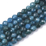 Natural Apatite Beads Strands, Faceted, Round, Grade A, 6mm, Hole: 0.9mm, about 60~61pcs/strand, 14.96 inch(38cm)(G-S361-6mm-024)