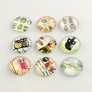 Cartoon Owl Pattern Flatback Half Round/Dome Glass Cabochons, for DIY Projects, Mixed Color, 25x6mm(GGLA-R026-25mm-06)