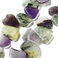 Natural Prehnite & Amethyst Beads Strands, Nuggets, Top Drilled, 16~17x18~23.5x6~8mm, Hole: 0.7mm, about 15pcs/strand, 7.28~7.72''(18.5~19.6cm)(G-P528-K08-01)