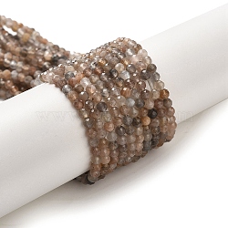 Natural Multi-Moonstone Beads Strands, Faceted, Round, 3~3.5mm, Hole: 0.6~0.8mm, about 119~123pcs/strand, 15.04~15.47''(38.2~39.3cm)(G-B074-B08-02)