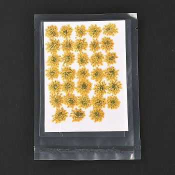 Pressed Dried Flowers, for Cellphone, Photo Frame, Scrapbooking DIY Handmade Craft, Gold, 15~20x13~19mm, 100pcs/bag