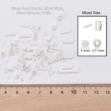 Glass Seed Beads(X-SEED-S059-012)-2
