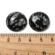 Natural Snowflake Obsidian Cabochons(G-C115-02A-14)-3