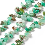 Natural Chrysoprase Beads Strands, Nuggets, 9~23.5x8~16x5.5~8mm, Hole: 1mm, about 64pcs/strand, 16.14~16.54 inch(41~42cm)(G-F719-06)