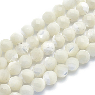 Natural White Shell Beads, Mother of Pearl Shell Beads Strands, Round, Faceted, 6mm, Hole: 1mm, about 69pcs/strand, 15.3 inch(39cm)(G-O171-09-6mm)