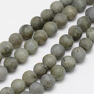 Natural Labradorite Frosted Bead Strands, Round, 6mm, Hole: 1mm, about 64pcs/strand, 15.4 inch(G-O155-04A-6mm)
